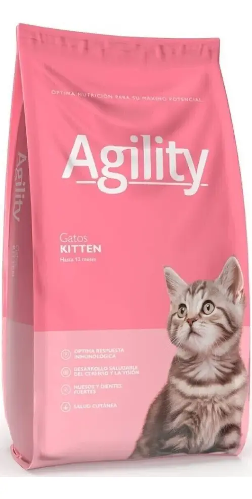 Agility — Kitten gato