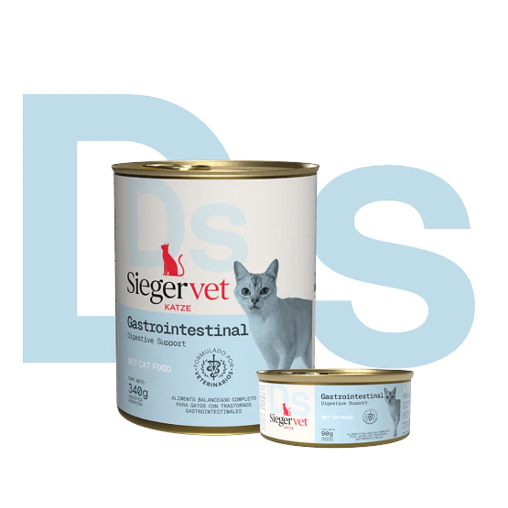 Sieger — Gastro gato