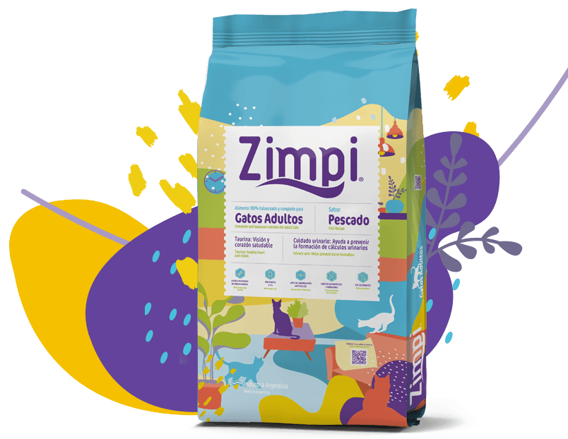 Zimpi — Gato