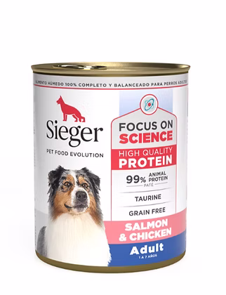 Sieger — Lata perro