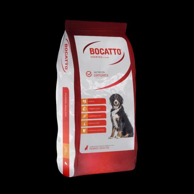 Bocato — Adulto