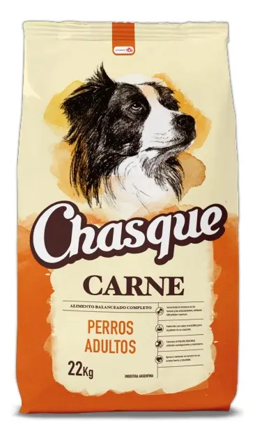 Chasque — Adulto