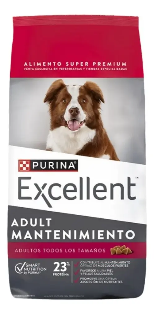 Excellent — Adulto mantenimiento