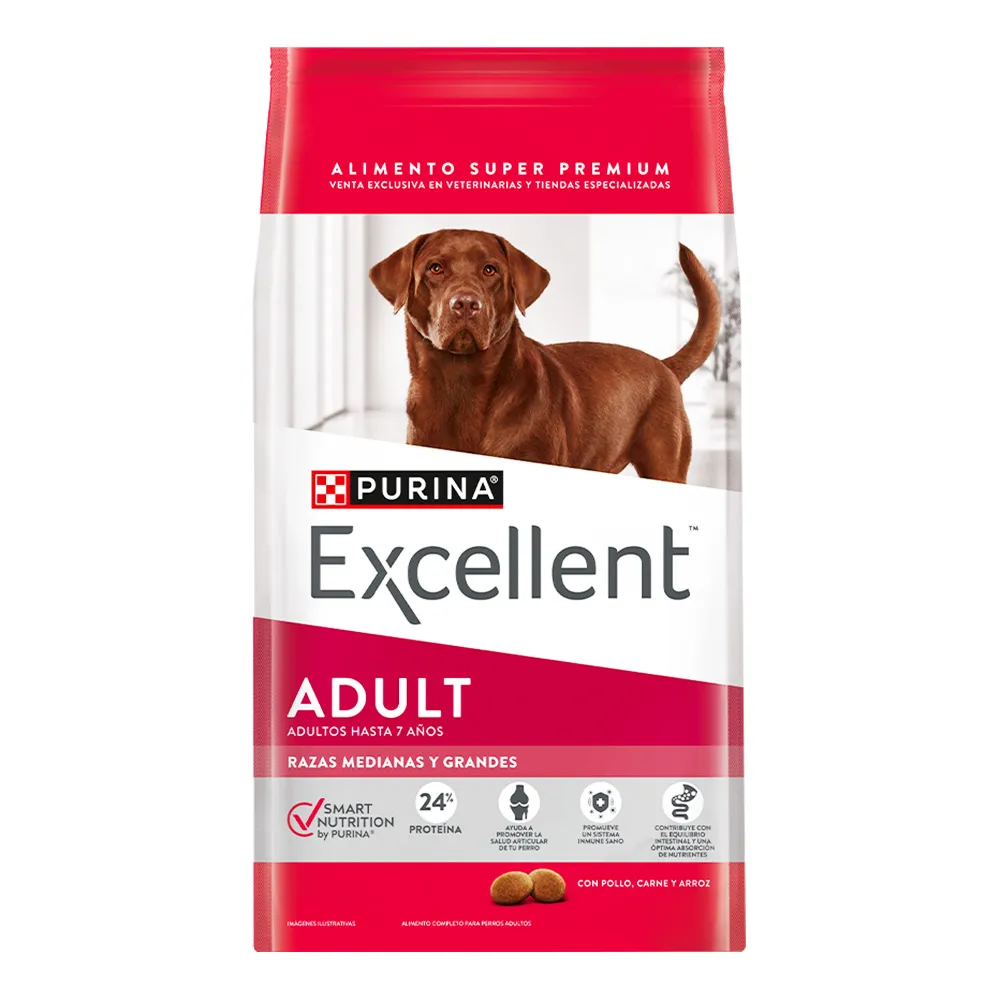 Excellent — Adulto