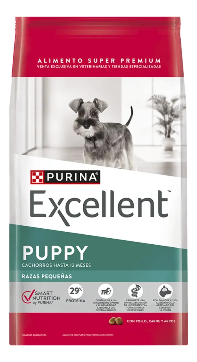 Excellent — Puppy small