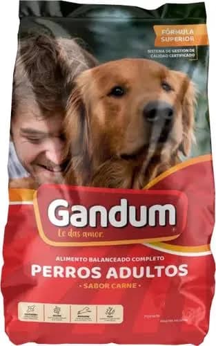 Gandum — Adulto