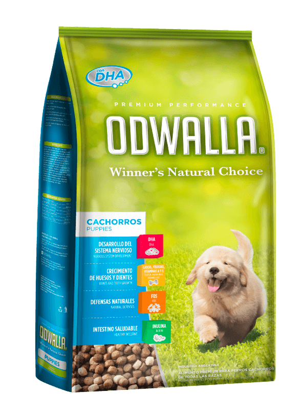 Odwalla — Adulto