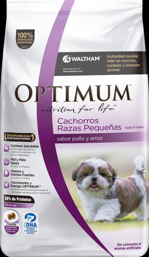 Optimun — Cachorro