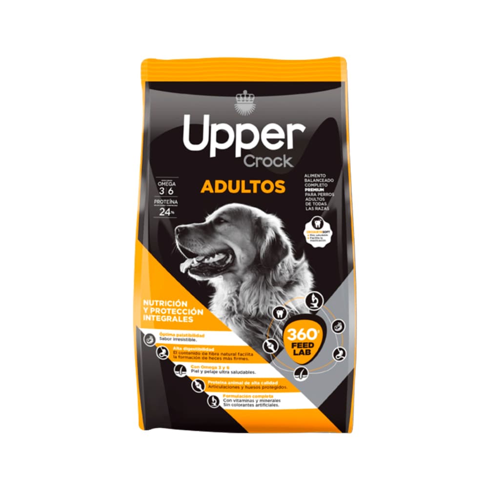 Upper — Urinary